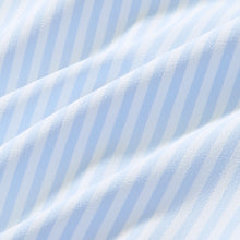 Load image into Gallery viewer, Leeward Cloud Blue Bengal Stripe