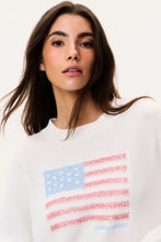 Load image into Gallery viewer, Ty Pullover
