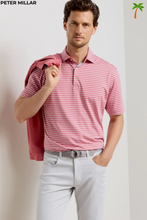 Load image into Gallery viewer, Dunnes Performance Jersey Polo