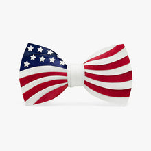 Load image into Gallery viewer, Heartland Bow Tie