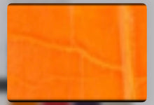 Load image into Gallery viewer, W. Kleinberg Glazed Alligator Twist Key Fob Orange