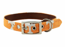 Load image into Gallery viewer, Smathers and Branson Needle Point Dog Collar UT